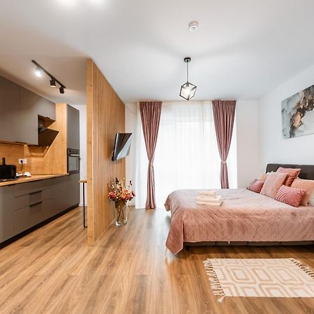 Alpine Line Studio Sinaia Luaran gambar