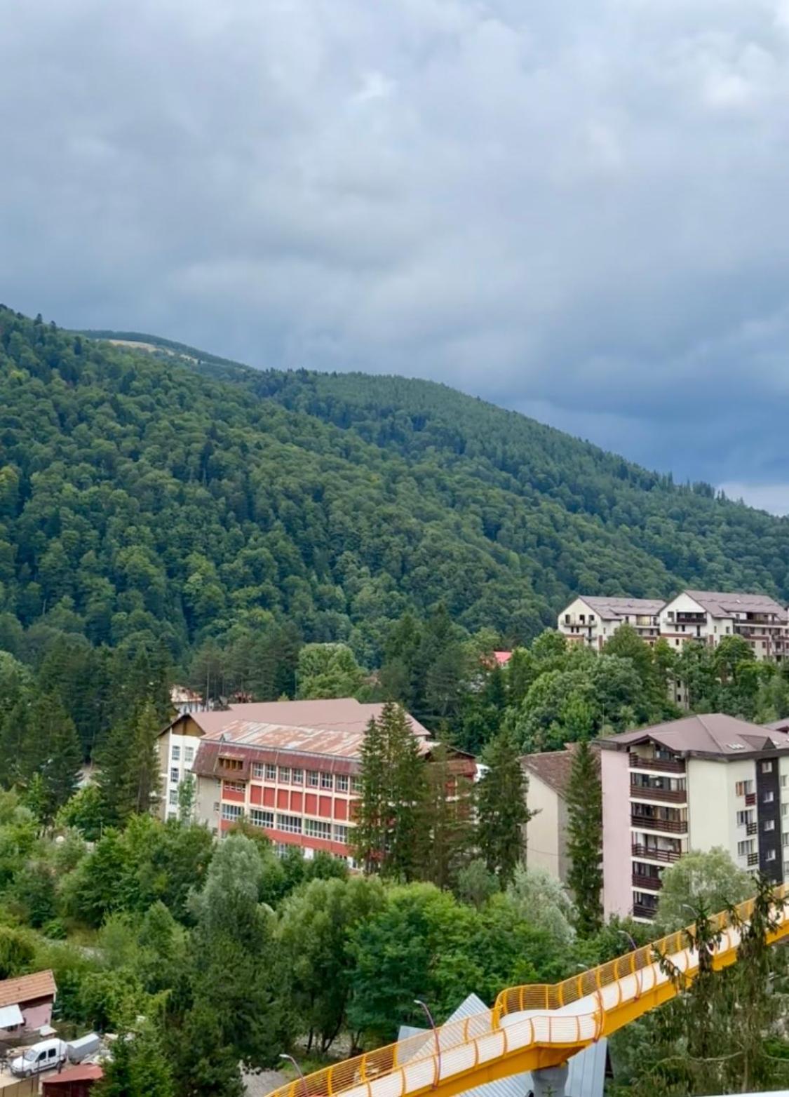 Alpine Line Studio Sinaia Luaran gambar